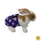 purple polka dot diaper - bunny