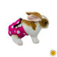 pink polka dot bunny diaper - model