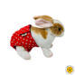 white polka dot on red diaper - bunny - model