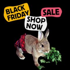 bunny diapers black friday sale